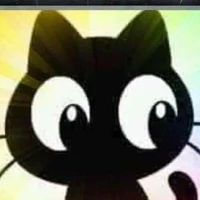 bóng mèo bí ẩn...