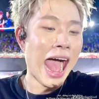 dương domic