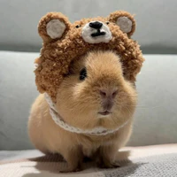 Capybara _trước khi XK_