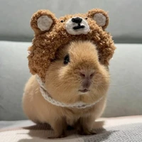 Capybara _trước khi XK_