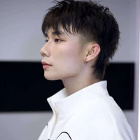 _n.swan_
