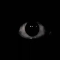 eye