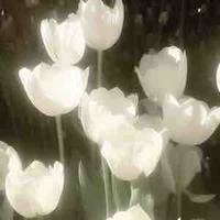 sleepy.melodyᶻ 𝘇 𐰁