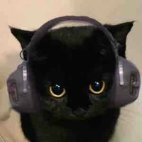 Sink_in2.music♬