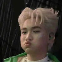 tác giả chinh gái