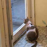 Từ từ rồi biết