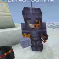 BiNgo_Gamming