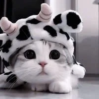 hệ thống