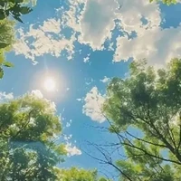 all yummie ( hội sim yummie)