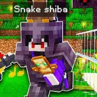 Snake Shiba