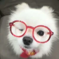 ？？？