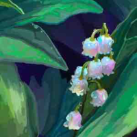 Đa Nhân Vật 