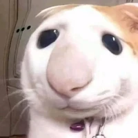 t/g
