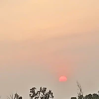 tất cả mn