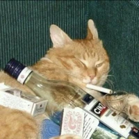 Hệ thống vip pro nhất thế giới