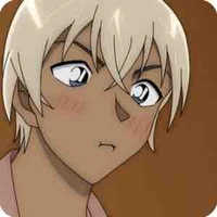 Amuro tooru/ Furuya Rei/ Bourbon/ Zero