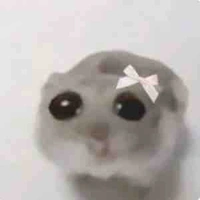 Nhóm thám tử nhí 