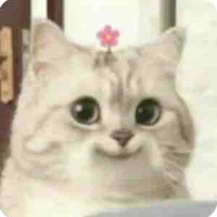 Cả lớp