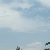 Tác Giả