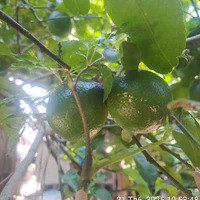 allhiha[trừ ai thì trừ]