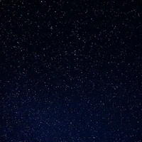 Tất cả mọi người - All