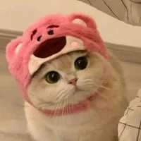 (mèo) Hoàng Đức Duy