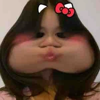 Phạm Quỳnh chi 