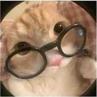 Nguyễn vi phương