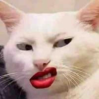 Bà cô /cân 12 môn/