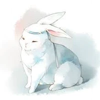 Destiny Bunny《Rawide》