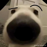 Ngô Phúc Dũng