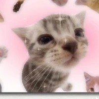 all bot trừ ai thì trừ