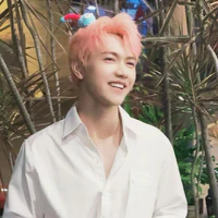 T.Sơn|Jsol