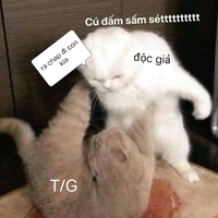 t/g ká lười