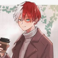 todoroki shoto