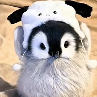 cánh cụt đây❤[tg kiêm muzik]