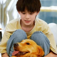 Trần Tư Hàn