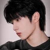 Lưu Diệu Văn( ba Trí) 