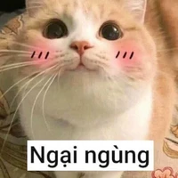 fan của em