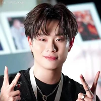 Trần Đăng Dương - Domic