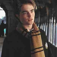 cedric diggory
