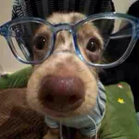 Tg bị xàm😵‍💫