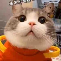 Hệ thống [Ryo]