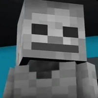 Skeleton ( Skelly)