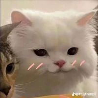 all