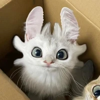 AZét - kẻ có thù với bàn phím