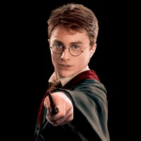 hary potter