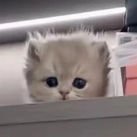 Thích ăn việt quốc[t/g chính]