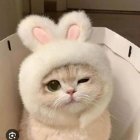 hệ thống [carot]