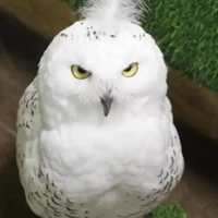 Canal [ hệ thống 3004 ]